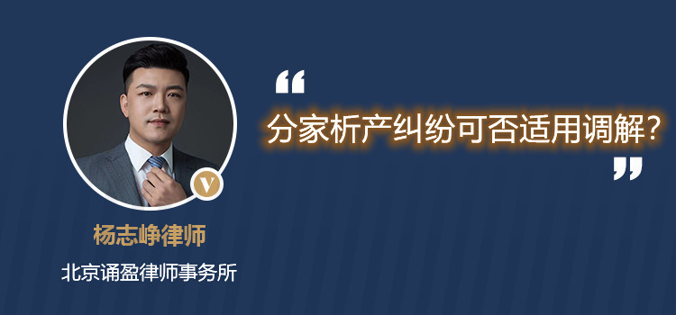 分家析產糾紛可否適用調解？