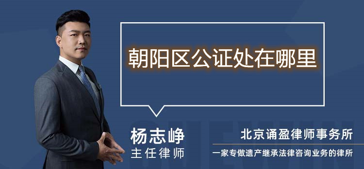朝陽(yáng)區(qū)公證處在哪里